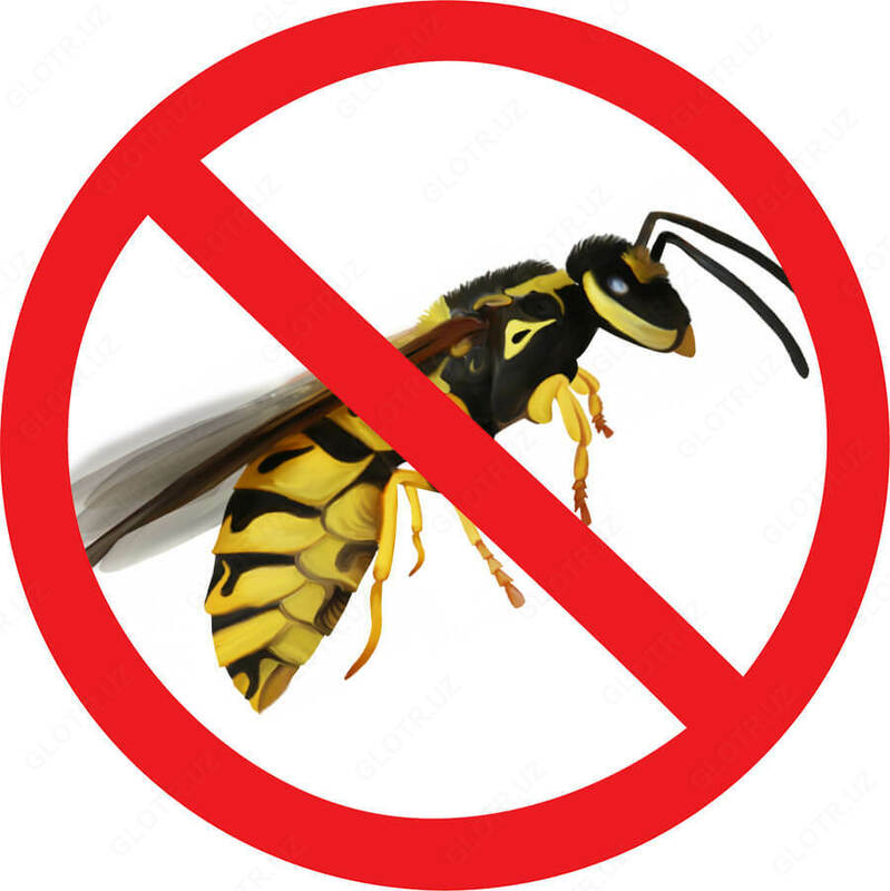 Уничтожение (дезинсекция) пчел и ос