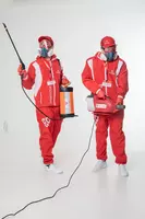 Уничтожение тараканов и клопов (дезинсекция 1 комнаты)