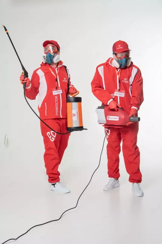 Уничтожение тараканов и клопов (дезинсекция 1 комнаты)