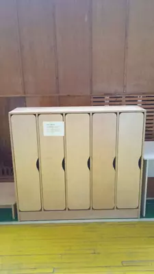 Детский дизайнерский шкаф (5 отделений