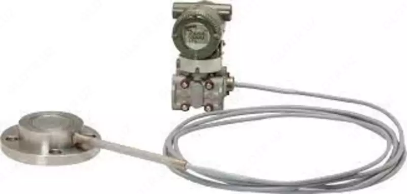 Датчики избыточного давления с выносными разделительными мембранами SKWW22P5-2AKYY-YYB5U/AAA