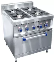  Плита газовая с духовкой ПГК-49ЖШ - 
