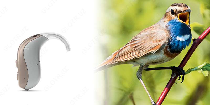 Слуховой аппарат NevaraBTEи CIC