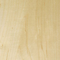 Шпон Клён Американский [Hard Maple] Натуральный