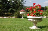 Декорирование участка