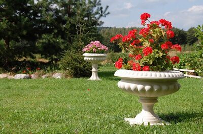 Декорирование участка