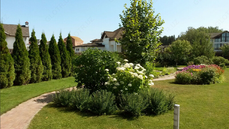 Посадка растений и озеленение