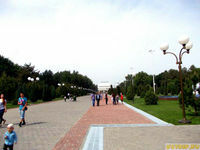 Кладка тротуарной плитки - 92 000 so'mdan