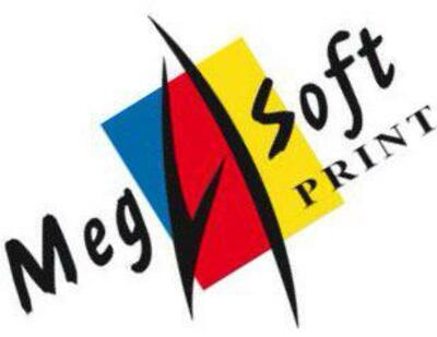 MegaSoft