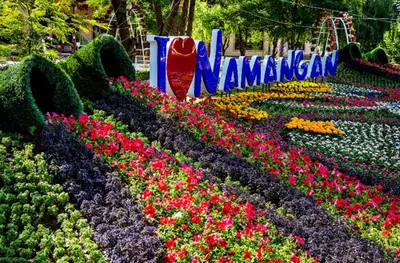 Narx so&#039;rov asosida "Namangan – Farg‘ona – Andijon: Tarixiy va qadimiy shahar"