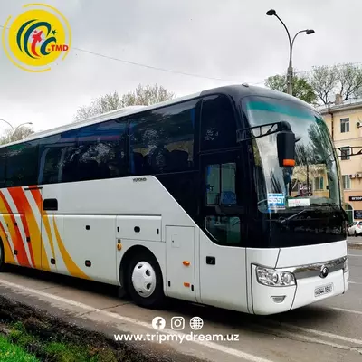 🌟 ОДНОДНЕВНЫЙ ТУР: ТАШКЕНТ – САМАРКАНД – ТАШКЕНТ 🌟 - от 860 000 сум