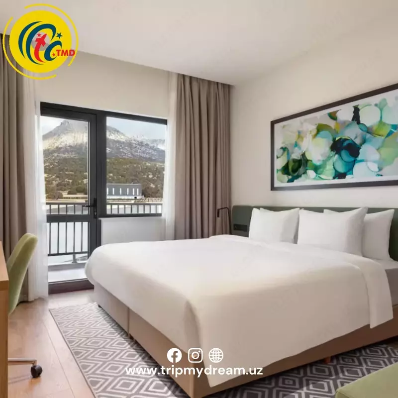 ZOMIN RESORT Tog‘-kurort majmuasidan eksklyuziv tijorat taklifi 2 250 000 so'mdan - MCHJ TRIPMYDREAM