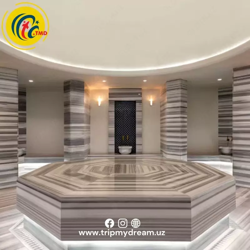 MCHJ TRIPMYDREAM - ZOMIN RESORT Tog‘-kurort majmuasidan eksklyuziv tijorat taklifi