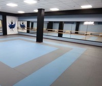 Хореографические балетные станки - Х.К «TGR AND TMI »