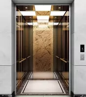 Oynali yo'lovchi lifti "SE-G004" (Oltin)