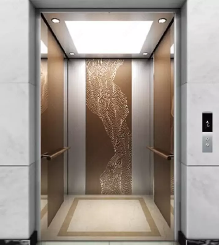 Oynali yo'lovchi lifti "SE-G006" (Oltin)