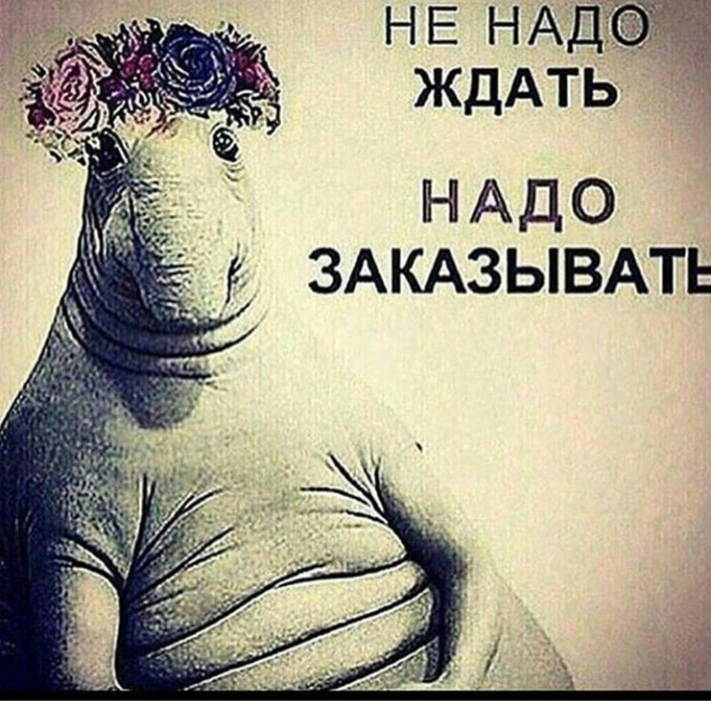 Акция!!!!! Успей купить по выгодной цене!