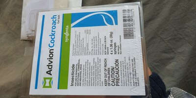 AQShdan kelgan hamamböceği taraqqiyoti - 125 000 so'm / dona