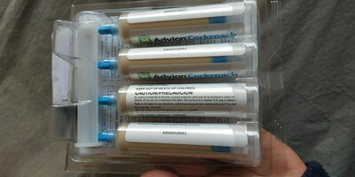 125 000 so'm / dona AQShdan kelgan hamamböceği taraqqiyoti