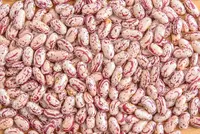 Фасоль рябая