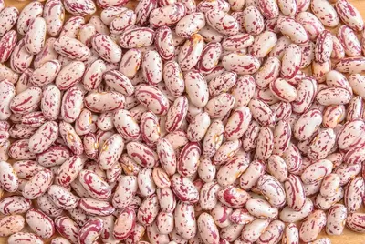 Фасоль рябая - 13 103 618 сум от 10 т