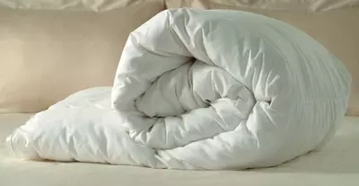 Услуги по химчистке маленького одеяла