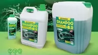 Средство для мытья автомобиля Standart Shampoo car