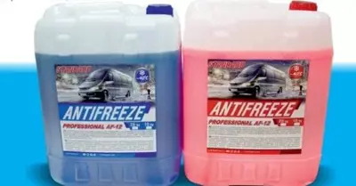 Антифриз Standart Anti Freeze AF-12