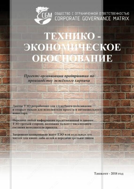 Разработка Технико-экономического обоснования