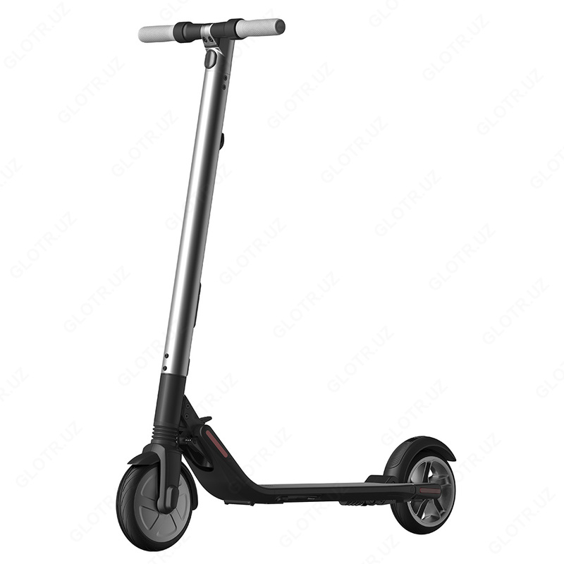 Электросамокат Ninebot by Segway ES2