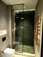 Душевая перегородка-шторка (арт.№3)