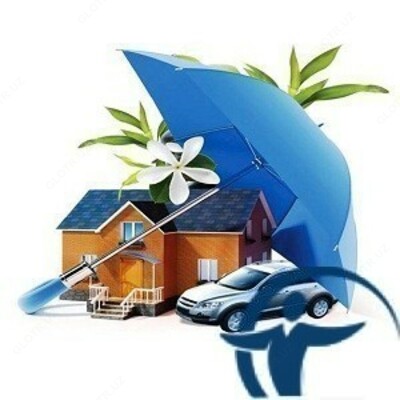 включая выставляемого залог