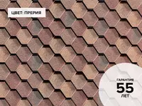 Ko'p qatlamli plitkalar G'arbiy