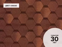 по запросу Гибкая черепица Сальса