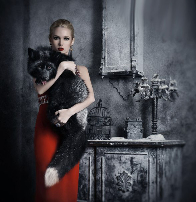 Великолепие и изящество чернобурки, не подвластное времени