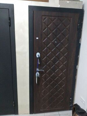 Входная дверь из стали