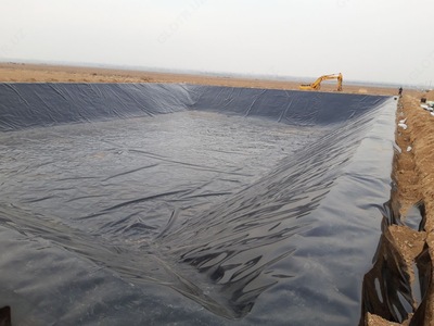 PE геомембрана 1