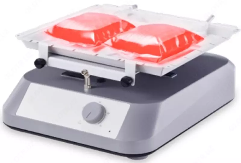 Экономичный Шейкер