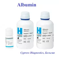 Альбумин