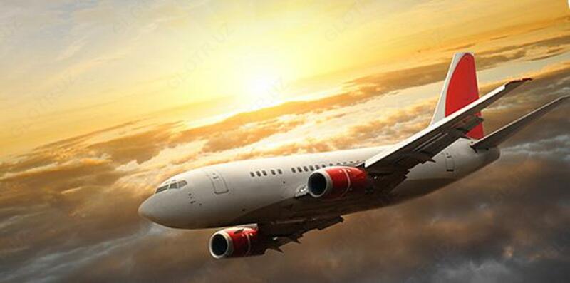  Авиаперевозка грузов - 