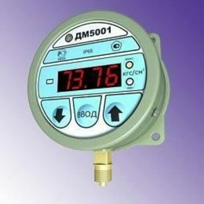 ДМ5001 МАНОМЕТРЫ ЦИФРОВЫЕ