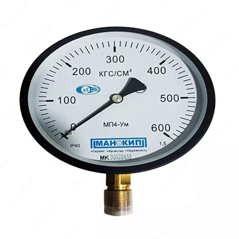 Manometr DM 2010 M 100 mm 1.6kg