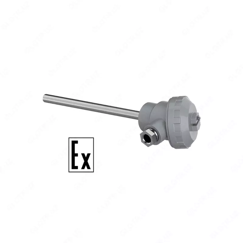 DTPXxx5 Ex ia — bu TXK (KTMS