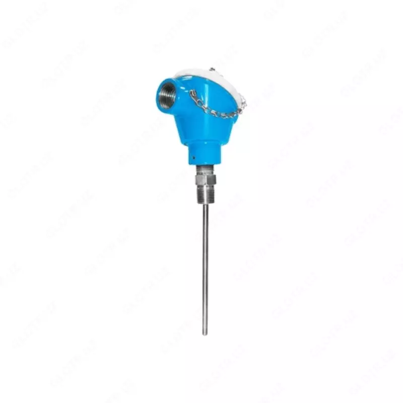 TH51 termopara | Modul tipdagi Ex d termometr