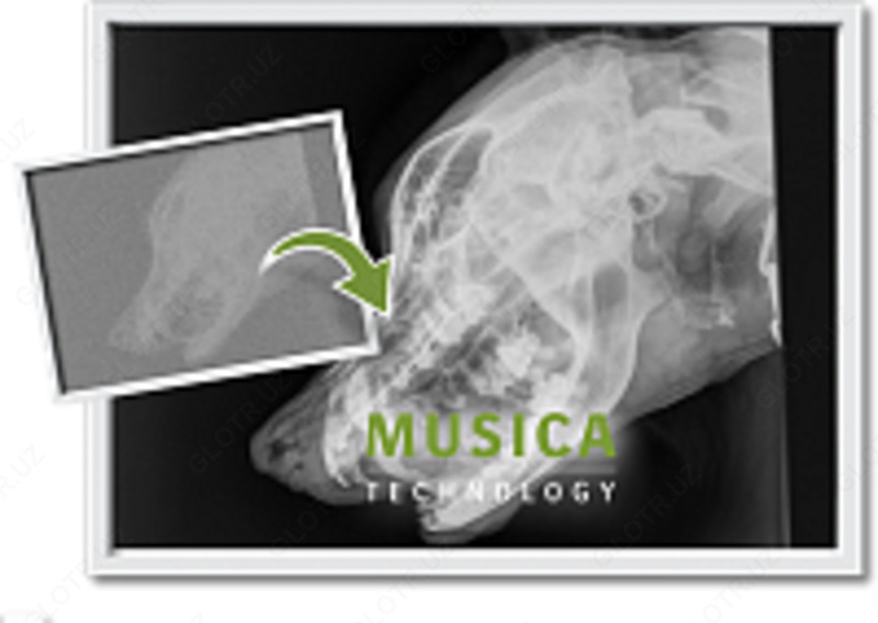 Оцифровщик AGFA CR-10X VETERINARY Оптом и розница