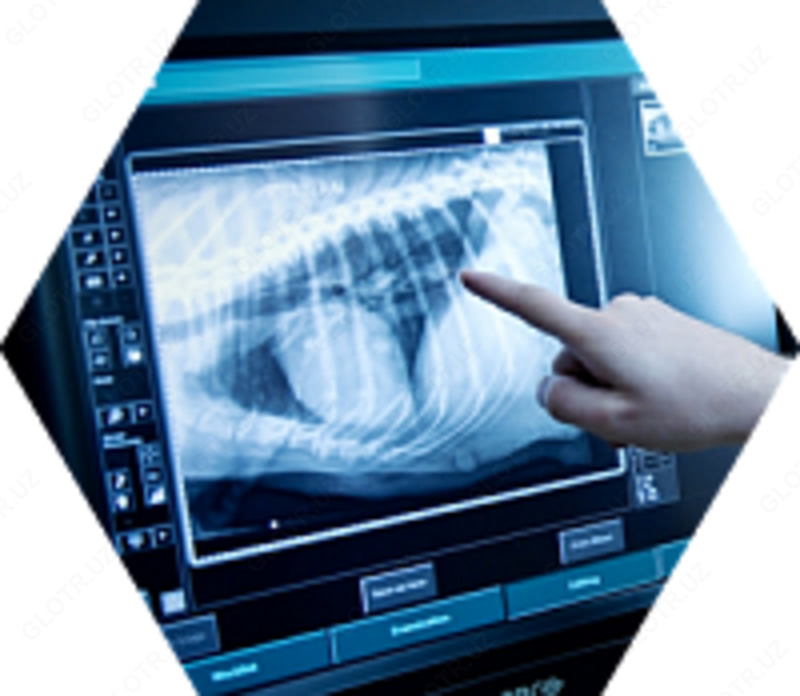 Оцифровщик AGFA CR-10X VETERINARY ЧП Techmed