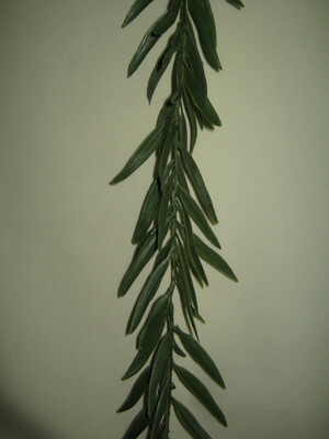 Искусственные цветы Оптом и розница