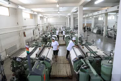 Ткацкие станки (БУ)