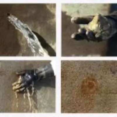 Proquick Ruso qochqinni yo'q qilish eritmasi - Narx so&#039;rov asosida