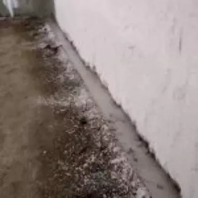 Cryladit ® ohak va beton qo'shimchasi - Narx so&#039;rov asosida